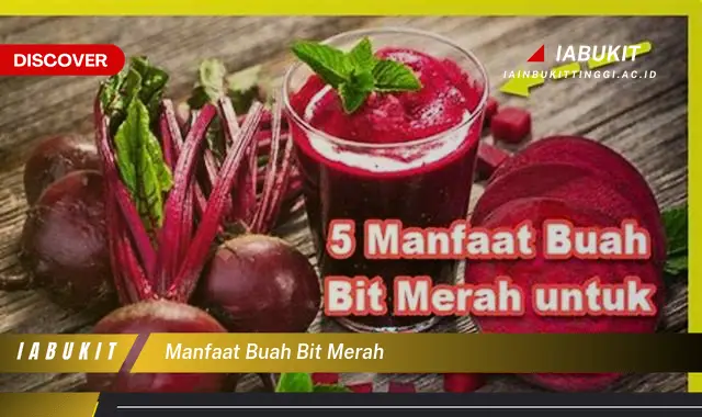 Bukan cuma buah naga, Ketahui 5 manfaat buah bit merah yang jarang diketahui - E-Jurnal