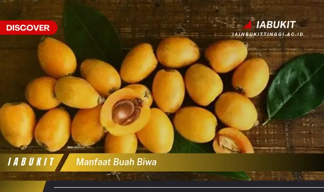 manfaat buah biwa