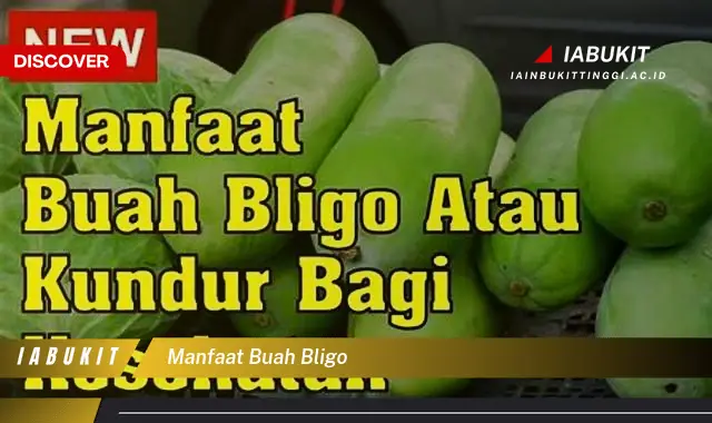 manfaat buah bligo