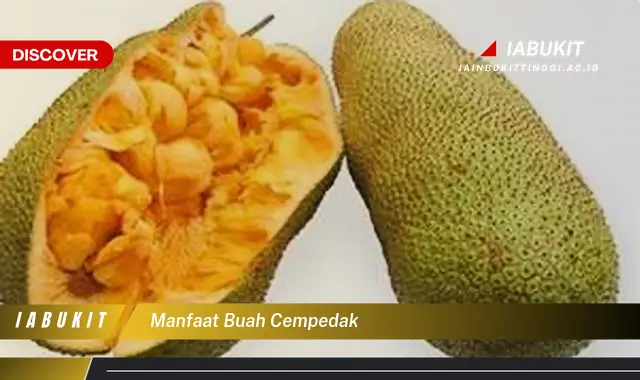 manfaat buah cempedak