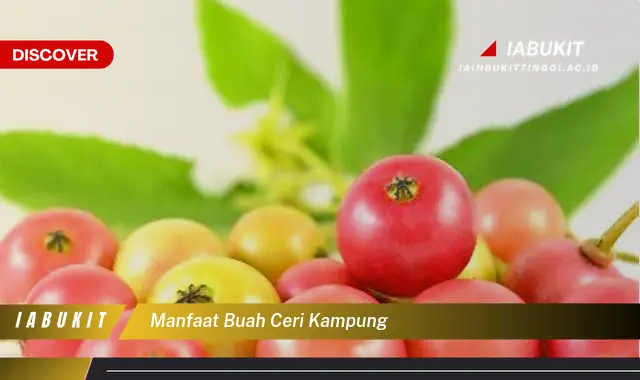 Bukan cuma buah jambu biji, Ketahui 5 Manfaat buah ceri kampung yang Bikin Penasaran - E-Jurnal