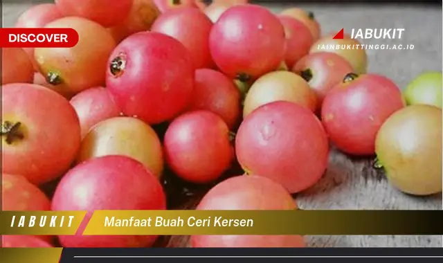 manfaat buah ceri kersen