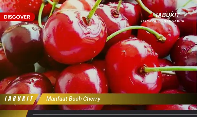 Temukan 20 Manfaat Buah Cherry yang Bikin Kamu Penasaran - E-Jurnal