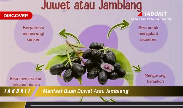 manfaat buah duwet atau jamblang