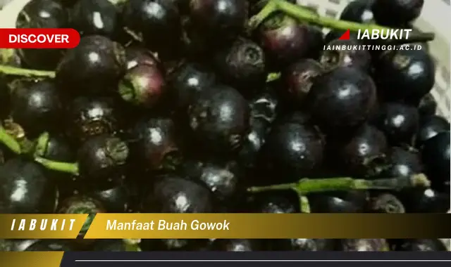 manfaat buah gowok