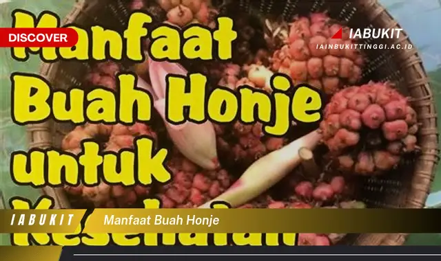 manfaat buah honje