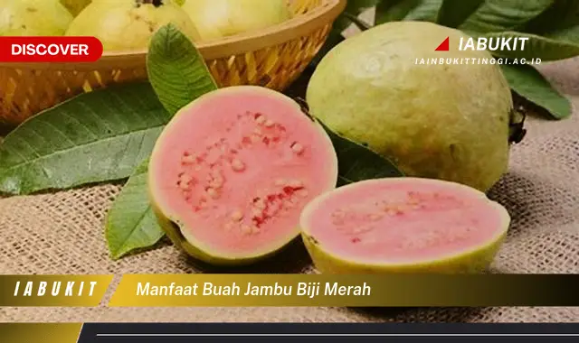 manfaat buah jambu biji merah