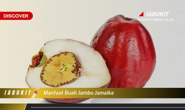 Bukan cuma buah apel, Ini dia 5 Manfaat buah jambu jamaika yang Wajib Diketahui - E-Jurnal