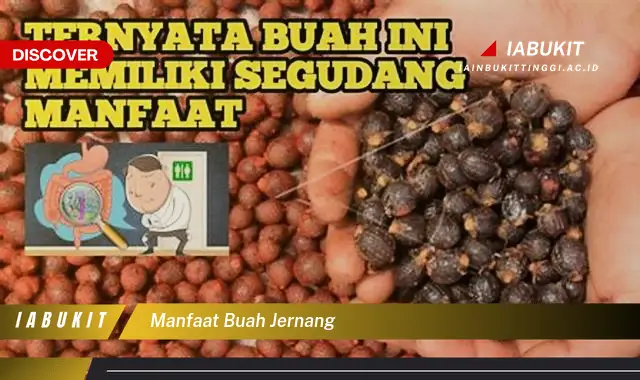 manfaat buah jernang