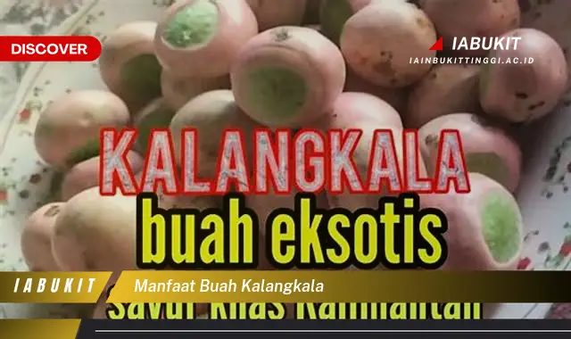 manfaat buah kalangkala manfaat buah kalangkala