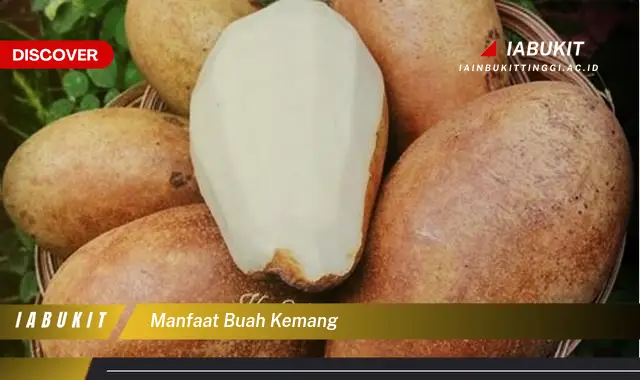 manfaat buah kemang