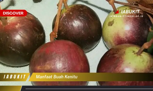 manfaat buah kenitu