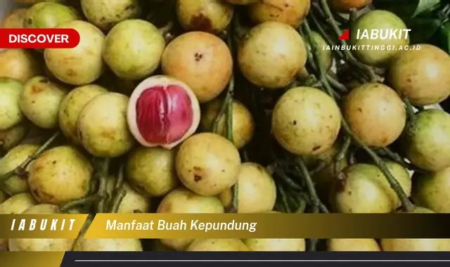 manfaat buah kepundung