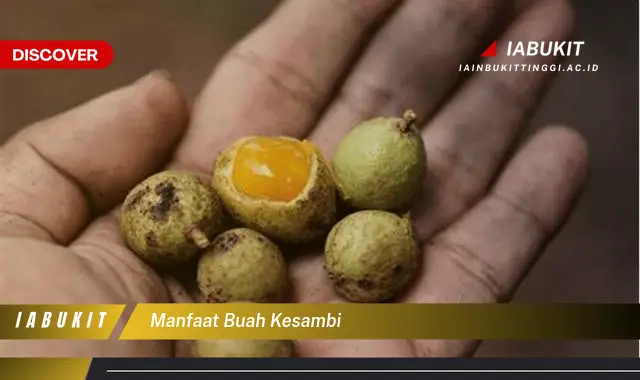 manfaat buah kesambi