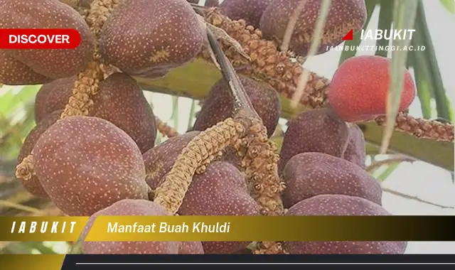 manfaat buah khuldi