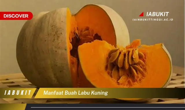 manfaat buah labu kuning