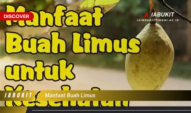 manfaat buah limus manfaat buah limus