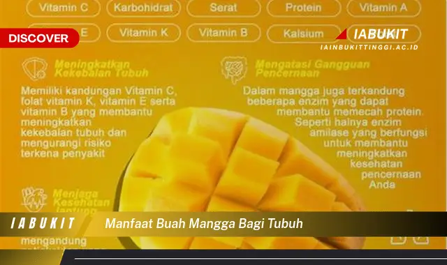 manfaat buah mangga bagi tubuh