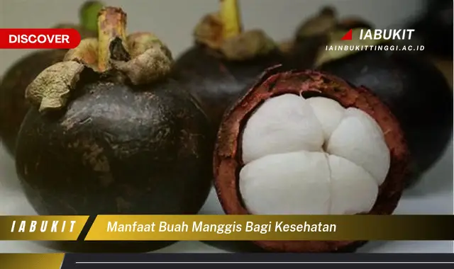 manfaat buah manggis bagi kesehatan