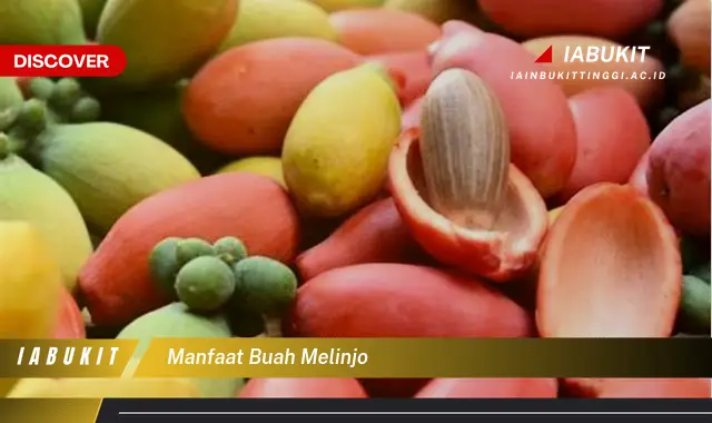 manfaat buah melinjo