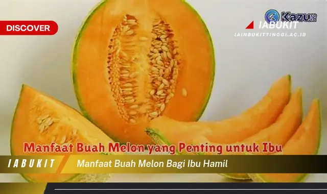 manfaat buah melon bagi ibu hamil