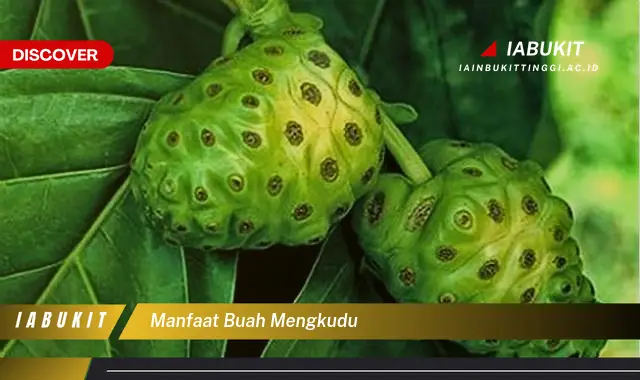 Bukan cuma buah jambu, Ketahui 5 Manfaat buah mengkudu yang Wajib Diketahui - E-Jurnal