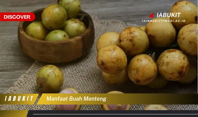 manfaat buah menteng