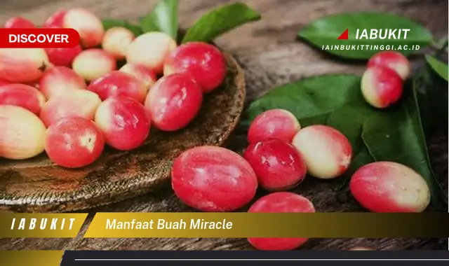 manfaat buah miracle