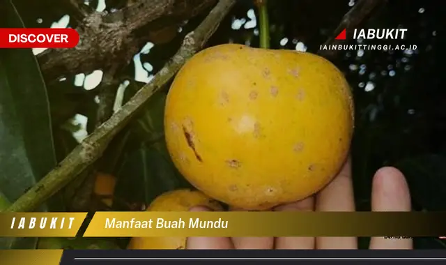 manfaat buah mundu