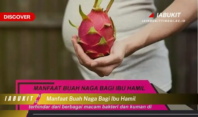 manfaat buah naga bagi ibu hamil