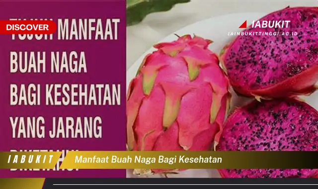 manfaat buah naga bagi kesehatan