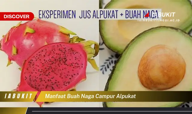 manfaat buah naga campur alpukat