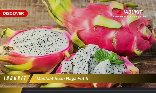 manfaat buah naga putih manfaat buah naga putih