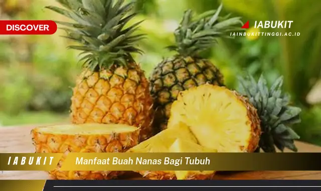 manfaat buah nanas bagi tubuh