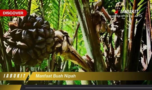 manfaat buah nipah