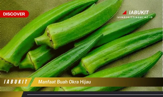 manfaat buah okra hijau