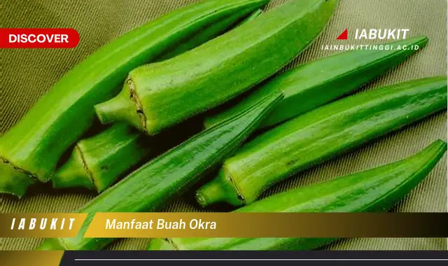 manfaat buah okra