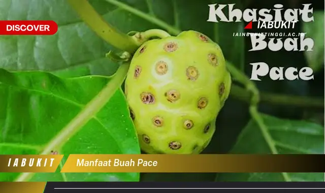 manfaat buah pace