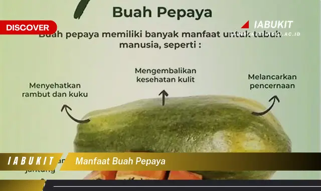 manfaat buah pepaya