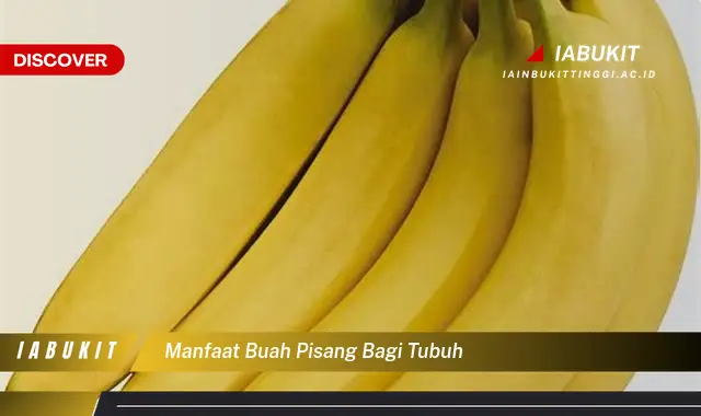 manfaat buah pisang bagi tubuh manfaat buah pisang bagi tubuh