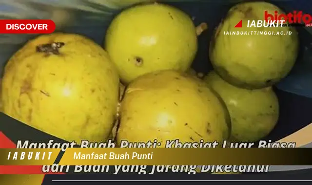 manfaat buah punti