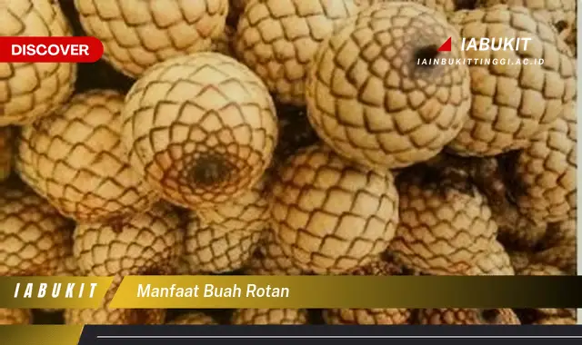 manfaat buah rotan