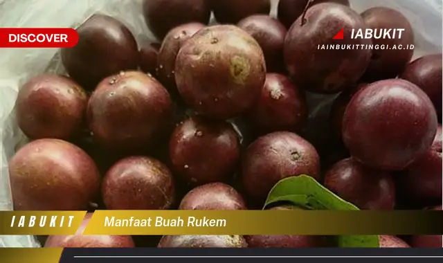 manfaat buah rukem