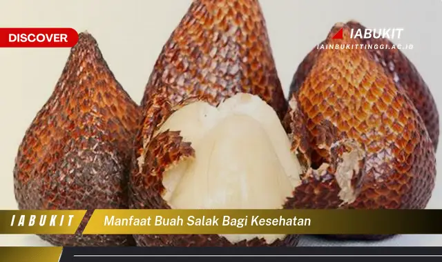 manfaat buah salak bagi kesehatan