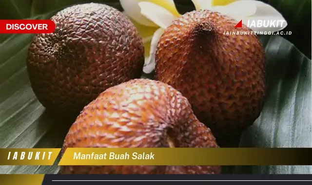 manfaat buah salak