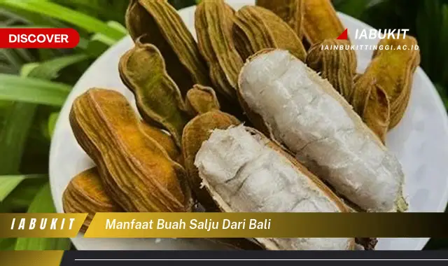 manfaat buah salju dari bali