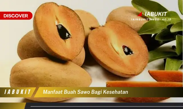 manfaat buah sawo bagi kesehatan