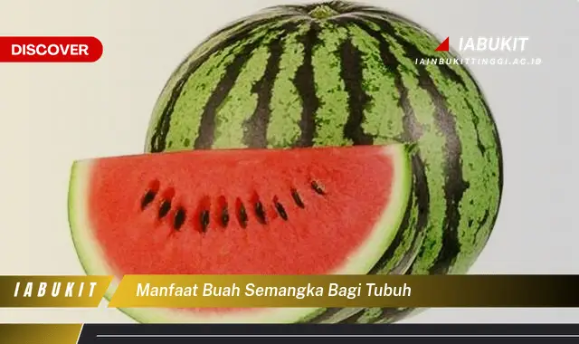 manfaat buah semangka bagi tubuh