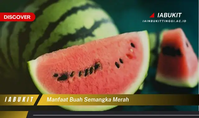 manfaat buah semangka merah