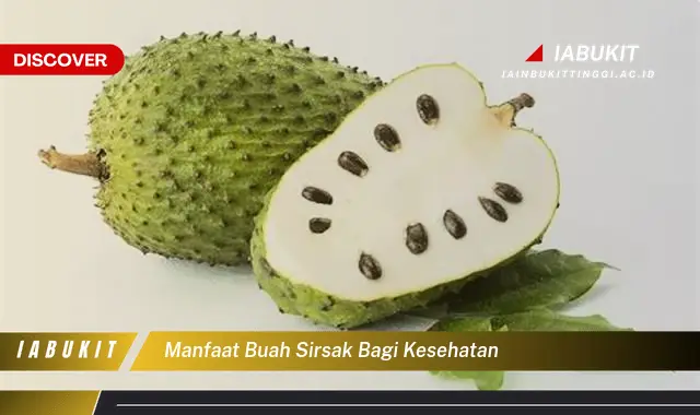 manfaat buah sirsak bagi kesehatan